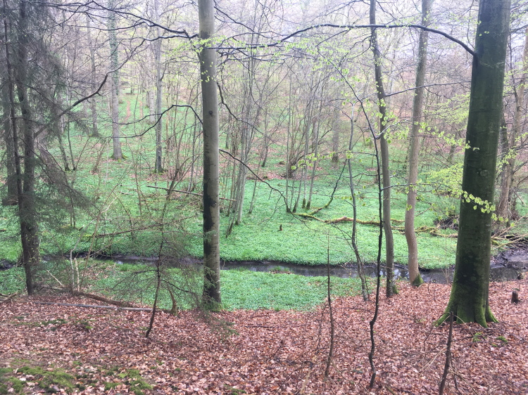aa